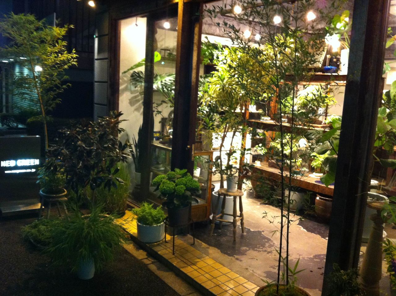 渋谷のネオグリーンで観葉植物ゲットしました モノマックス Monomax 宝島社の雑誌モノマックスの公式サイト