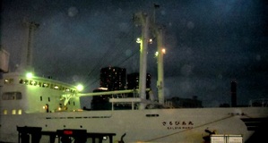 東京湾納涼船