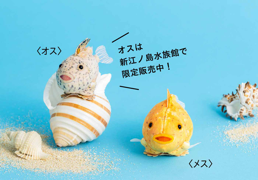 新江ノ島水族館監修！脱皮を再現するフェリシモのタカアシガニ脱皮ぬいぐるみ