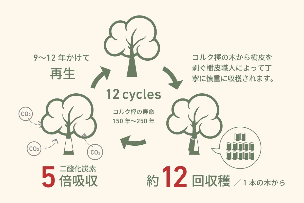 使命を果たしたあとはほぼ生分解できるという、環境に優しいサステナブルな素材