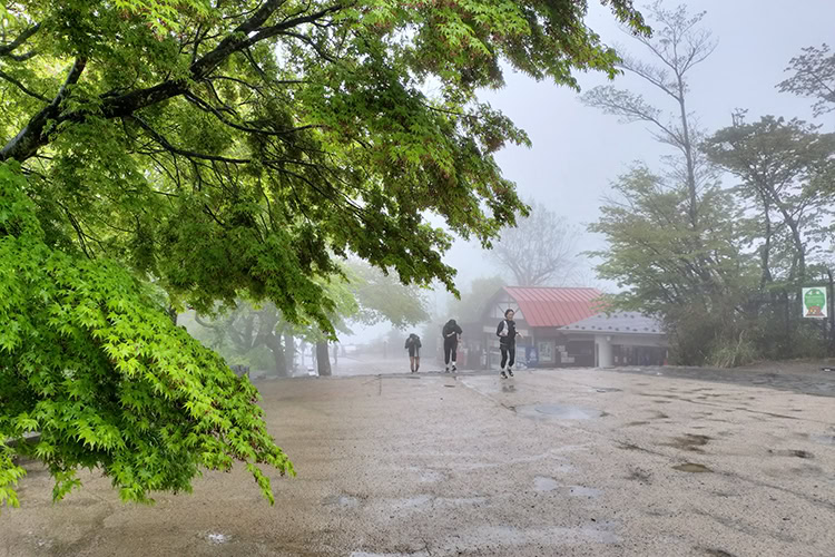 高尾山の山頂まで気持ちよくトレイルランニング