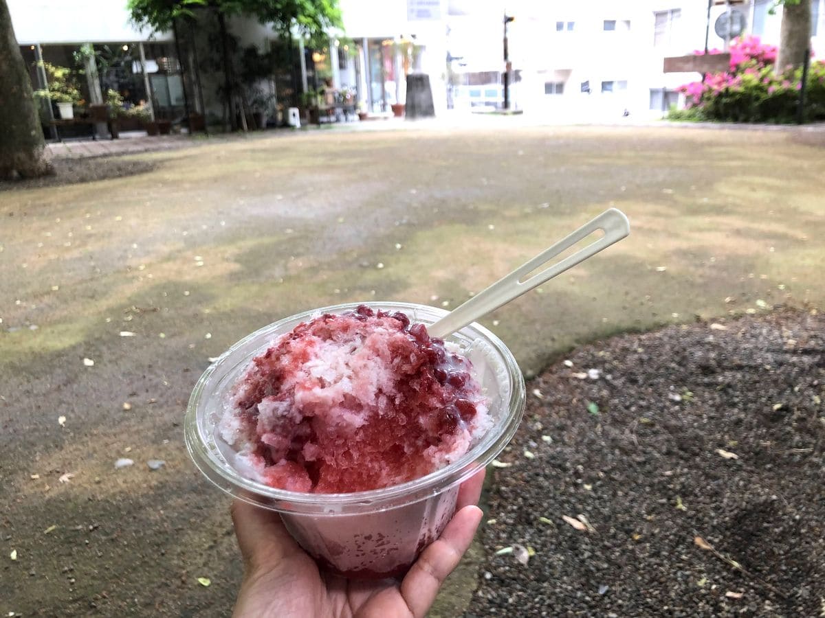 ナチュラルローソンのかき氷を公園で食べる