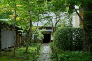 「そうだ 京都、行こう。」 この夏絶対訪れるべき“京都のスペシャルな癒しスポット”5選。旅好きライターの体験レポート