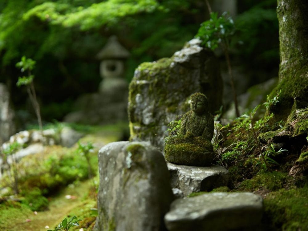 緑鮮やかな青もみじと苔に包まれた空間