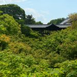 新緑の大海原を眺望できる「東福寺」