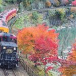 嵯峨野トロッコ列車：トロッコ列車で保津川渓谷を巡る