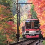叡山電車：もみじのトンネルで日本の秋を満喫