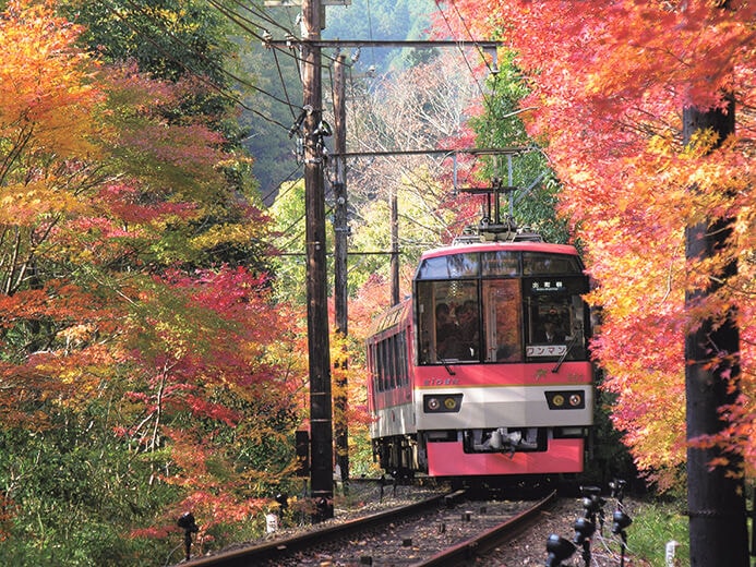 叡山電車：もみじのトンネルで日本の秋を満喫