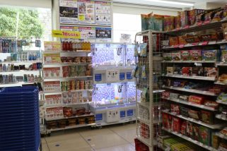 「こんなものがなぜコンビニに…!?」出会えたらラッキー？ローソンの“ガチなクレーンゲーム”に挑戦してみた