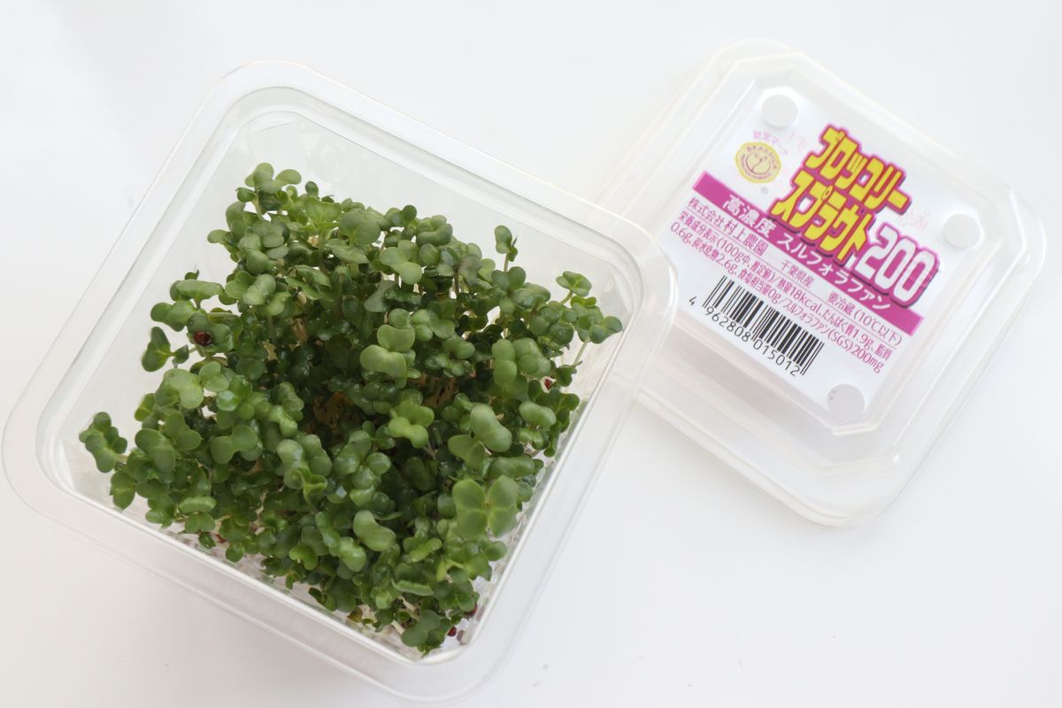 ブロッコリー スプラウト 食中毒