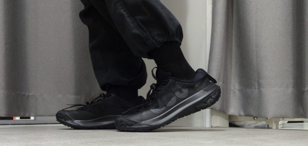 ナイキ ACG マウンテン フライ 2 LOW