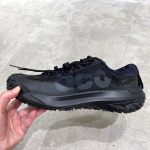 ナイキ ACG マウンテン フライ 2 LOW