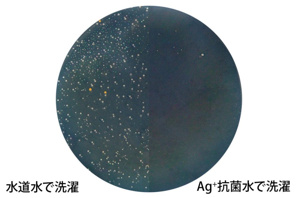 洗濯後の衣類の雑菌繁殖比較