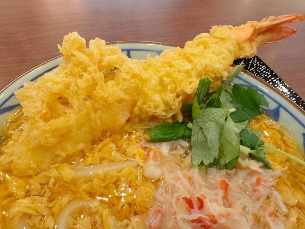 丼からこぼれそうな大海老天