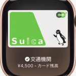 Apple Watch Apple Watch Series 10　「ウォレットアプリが便利！」