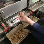 鳥取特産・二十世紀梨の剪定枝を桜チップにブレンド