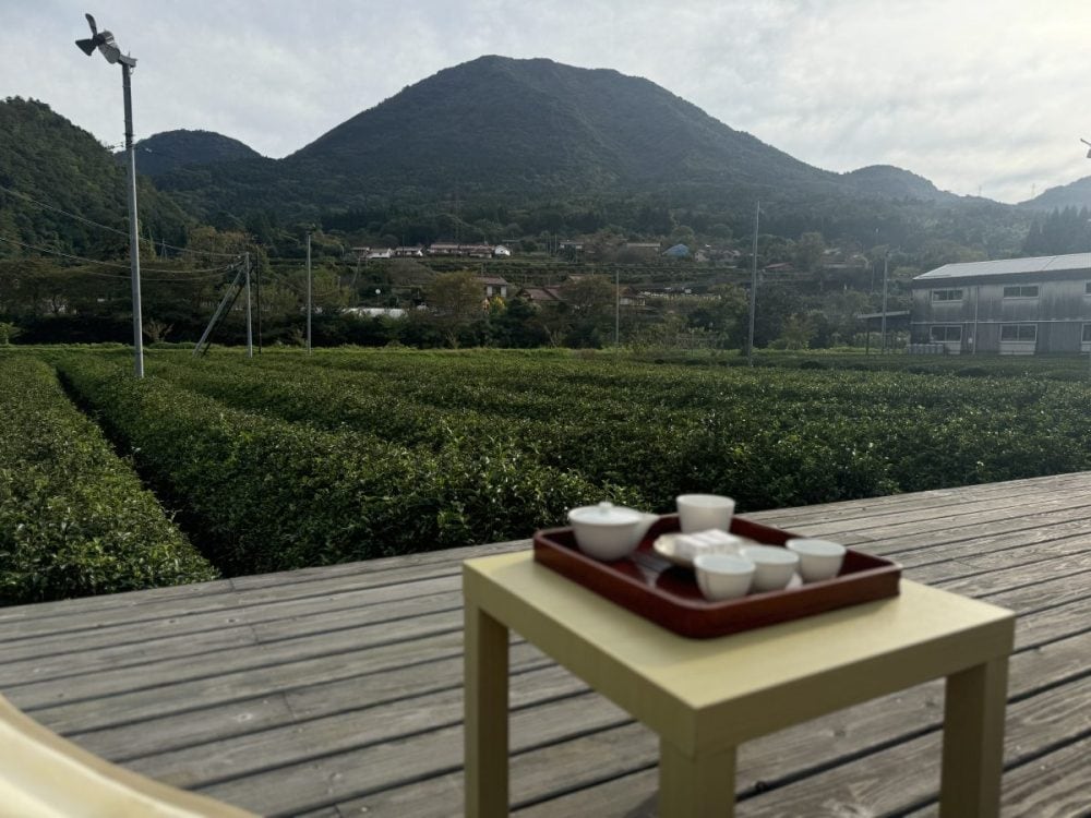 代々茶園を営む秀翆園では、津和野地方で昔から親しまれてきたまめ茶のほか、青野山の裾野にある自然豊かな環境で育った特上緑茶などが有名