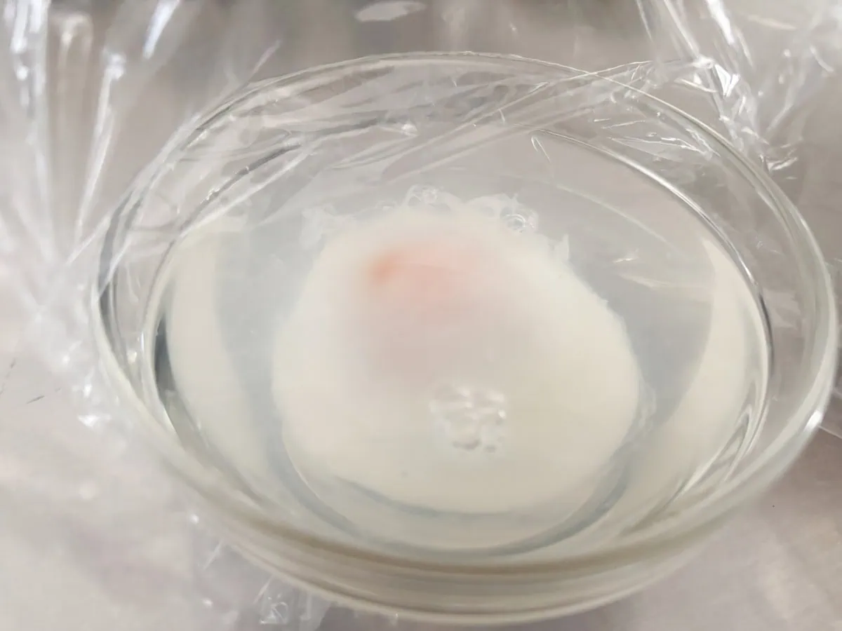 ボウルを電子レンジから取り出しても、ラップを被せたままにしておけば、予熱で徐々に固まっていくんです