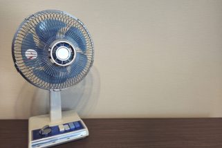 「扇風機をつけっぱなしで寝ると死ぬ」は本当？エアコンなら大丈夫？猛暑の夜の“安全な涼の取り方”をプロに聞いてみた
