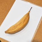 カポックとは？ インドネシアをはじめ東南アジアに広く自生する樹木。木の実の綿から作る繊維はコットンの1/8の軽さ。放湿除湿・保温力に優れる。