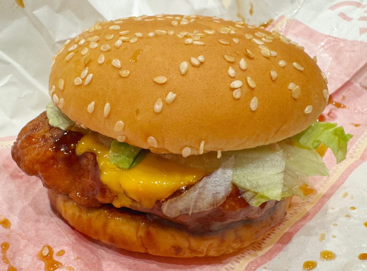 博多明太ポテトてりやきチキン