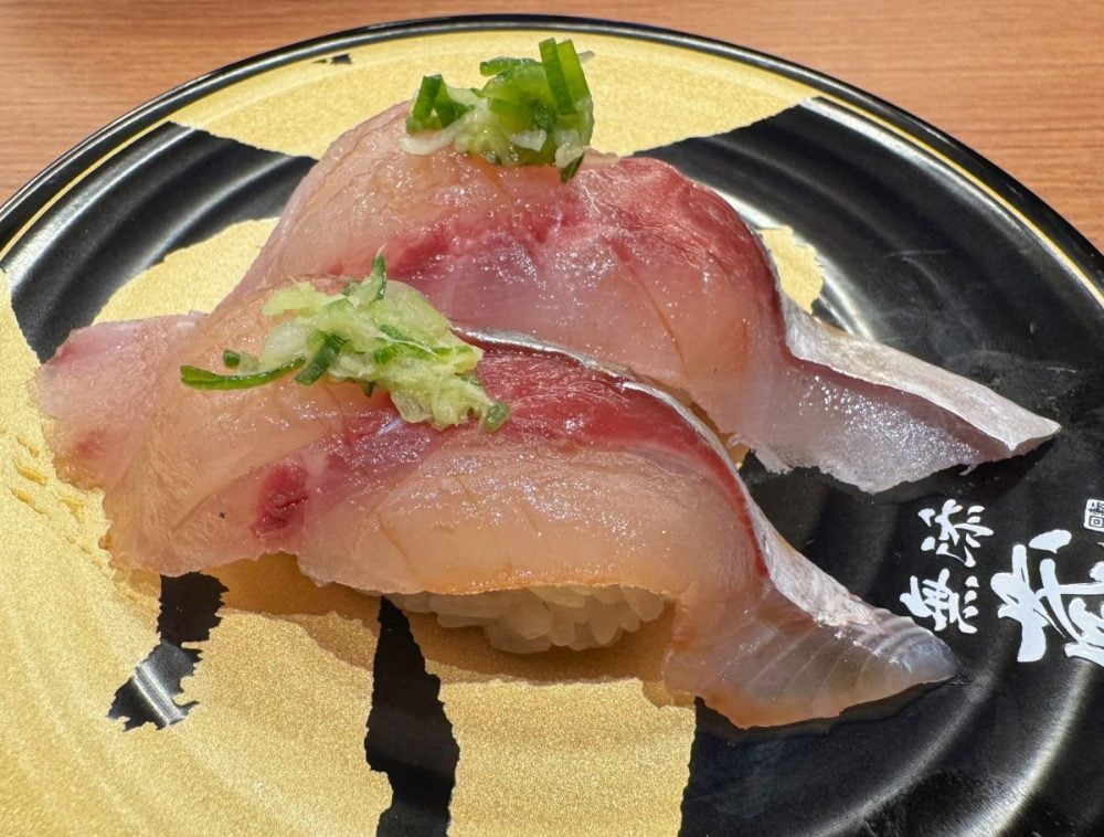 朝獲れ　真鯵