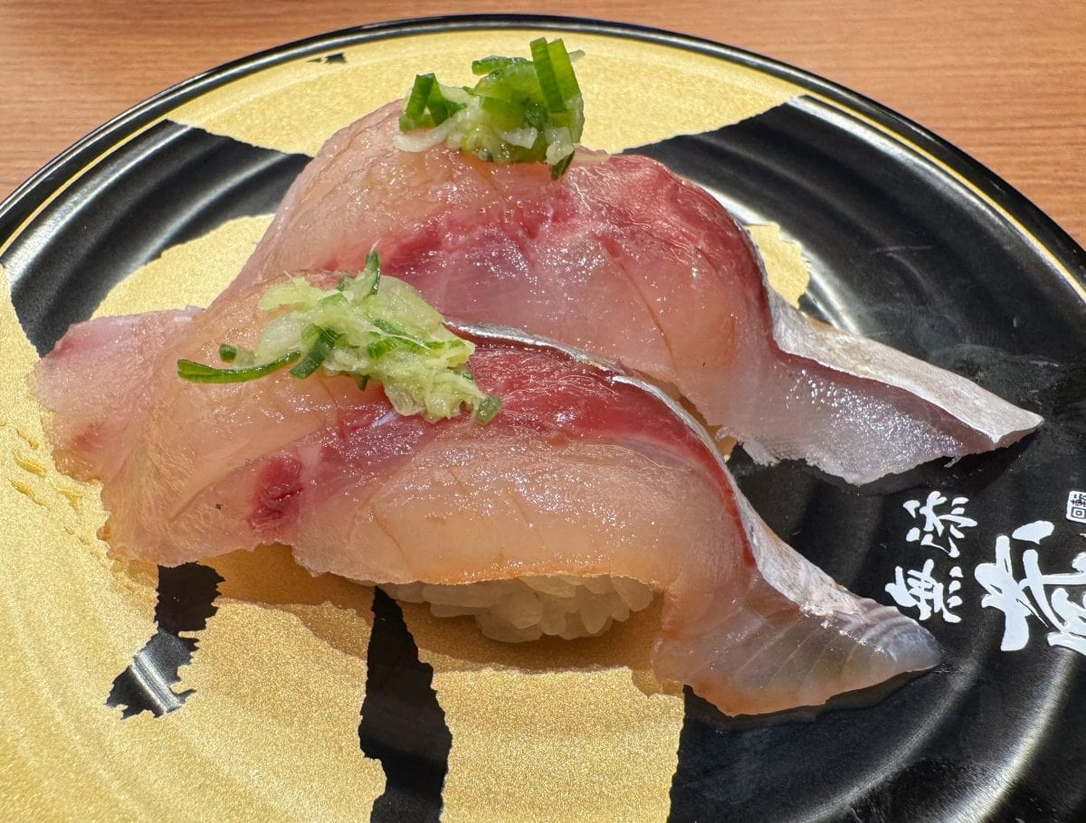 朝獲れ　真鯵