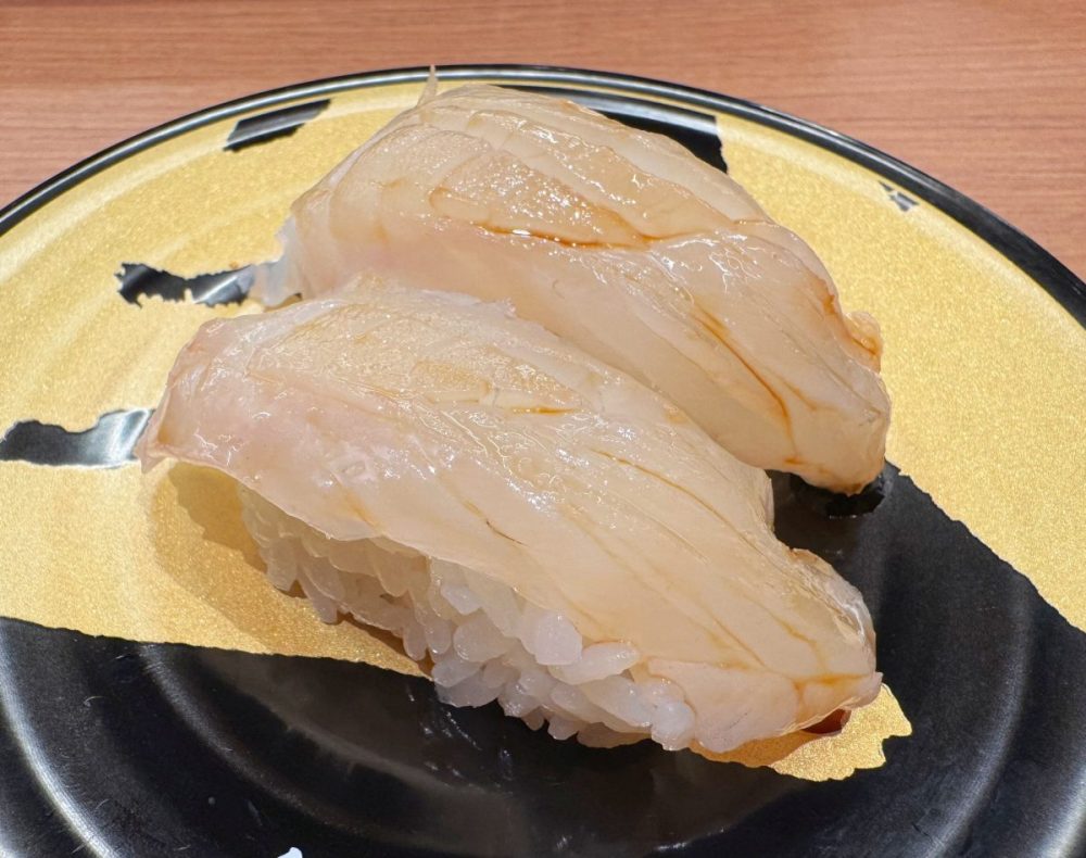 朝獲れ　きじはた