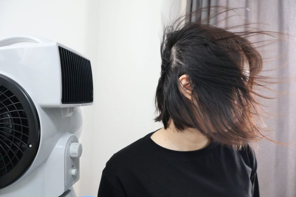 頭皮が見えるほどの強風