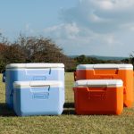 【デイレジャーやスポーツに】コールマンのコンパクトハードクーラーに新色登場