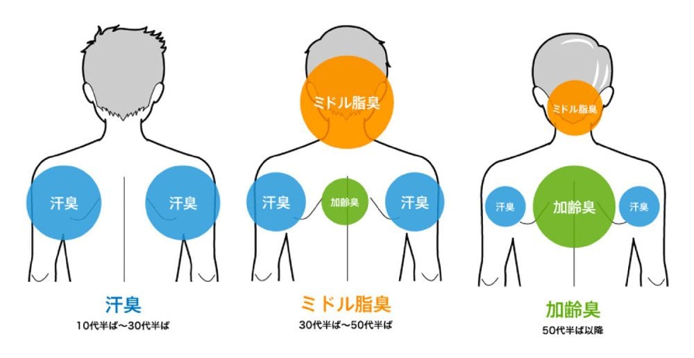 「一般的な汗臭」「加齢臭」、そしてミドル世代特有の「ミドル脂臭」の3つ大別できる