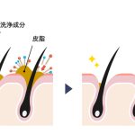 W皮脂溶解成分