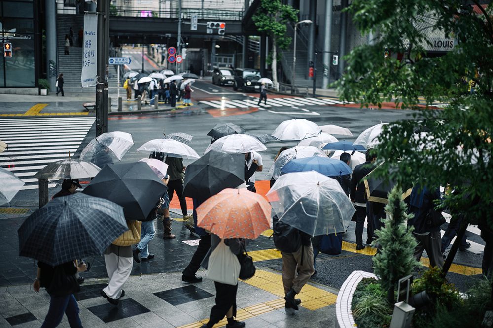 いよいよ梅雨の季節