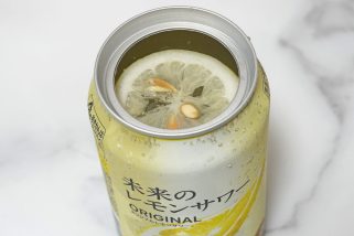 「世界初のすごい缶チューハイ」レモンスライスが浮かぶ!? “未来のレモンサワー”2種を酒通ライターが飲み比べ