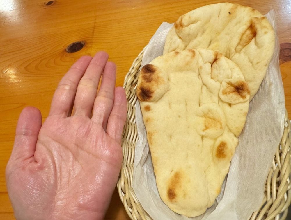 女性の手のひらサイズ程のサイズと思ったより小さめ