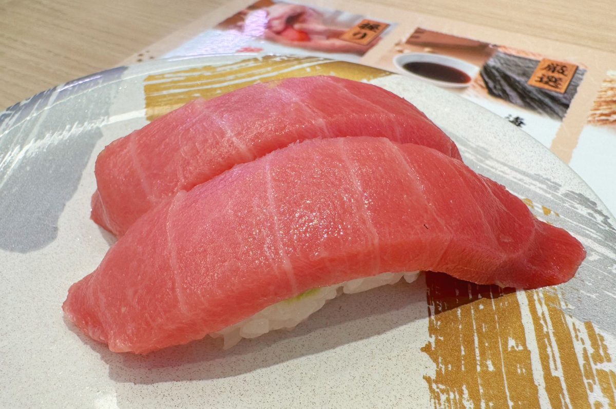 本鮪中トロ