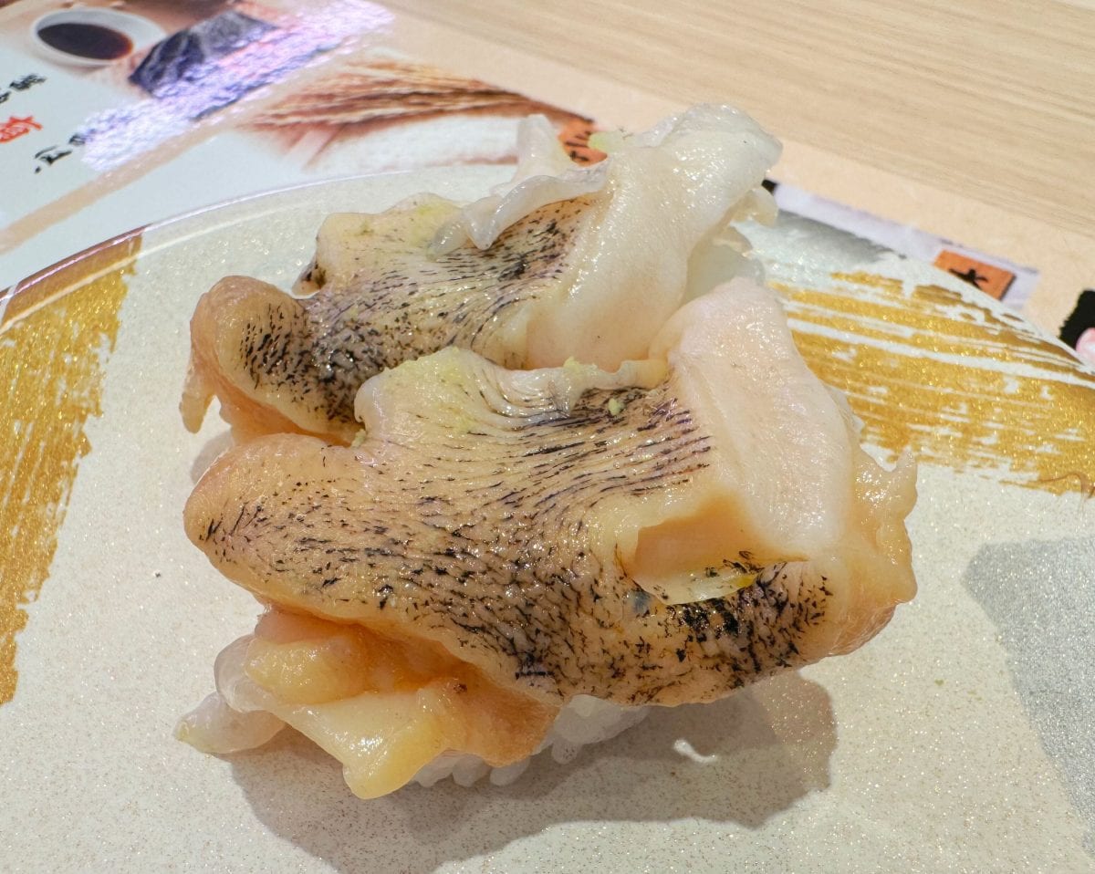 活つぶ貝