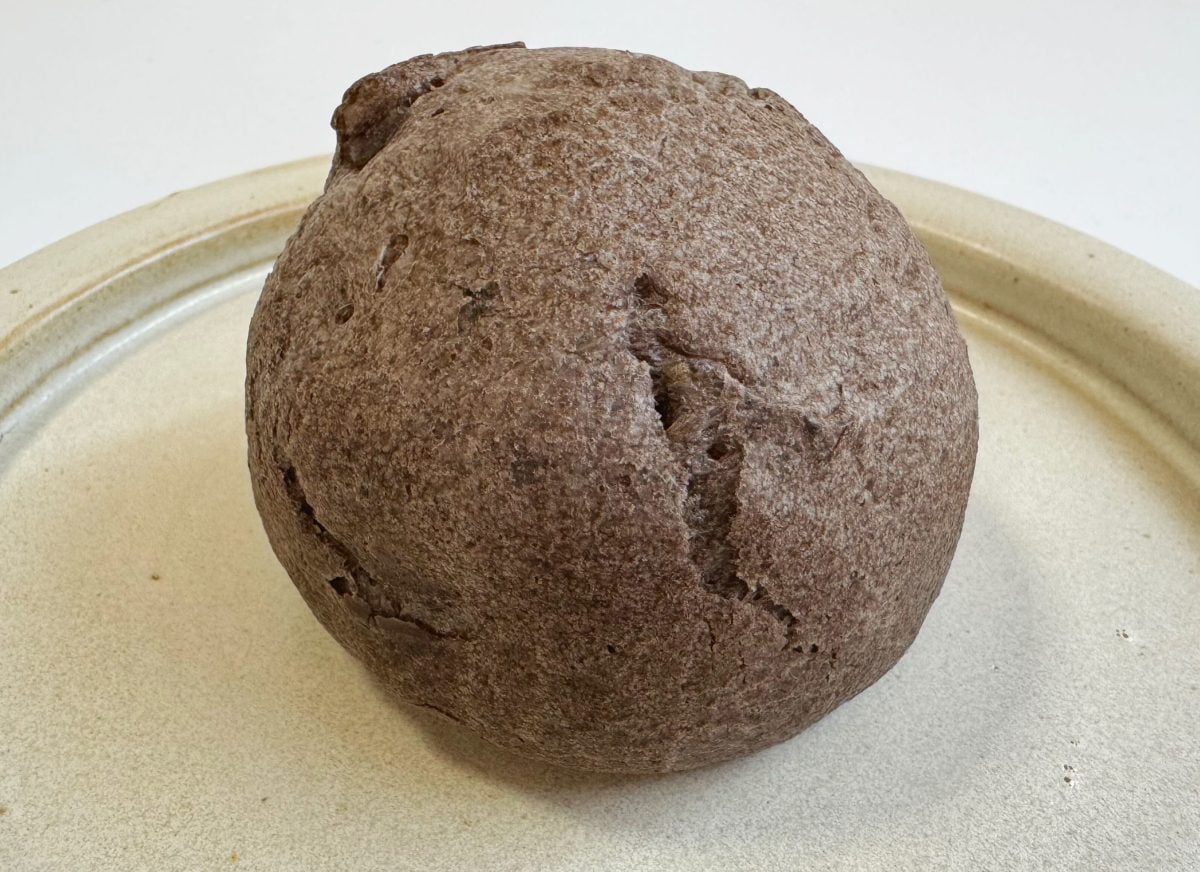 もちもちのシュー生地はビターなココア風味
