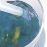 ぷるぷるで爽やか！