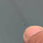 点で割れるというかえぐれたものはリペアが効く。発見したら汚れが入らないようにテープで止めてなるべく早く修理を依頼するといい。線状のヒビについては不可で、交換するしかない。放置するとドンドンと伸びていく