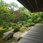 「そうだ 京都、行こう。」キャンペーン、妙心寺 天球院