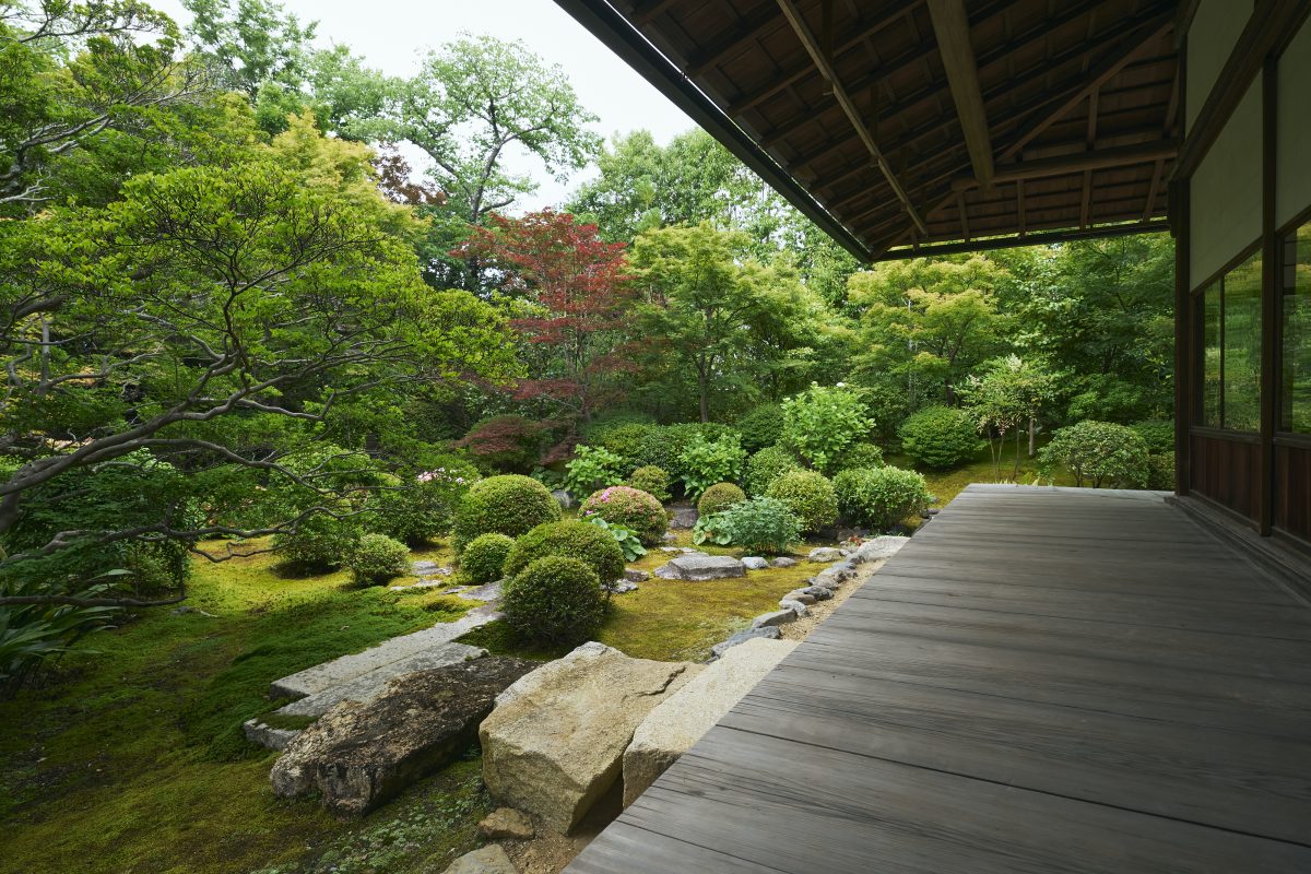 「そうだ 京都、行こう。」キャンペーン、妙心寺 天球院