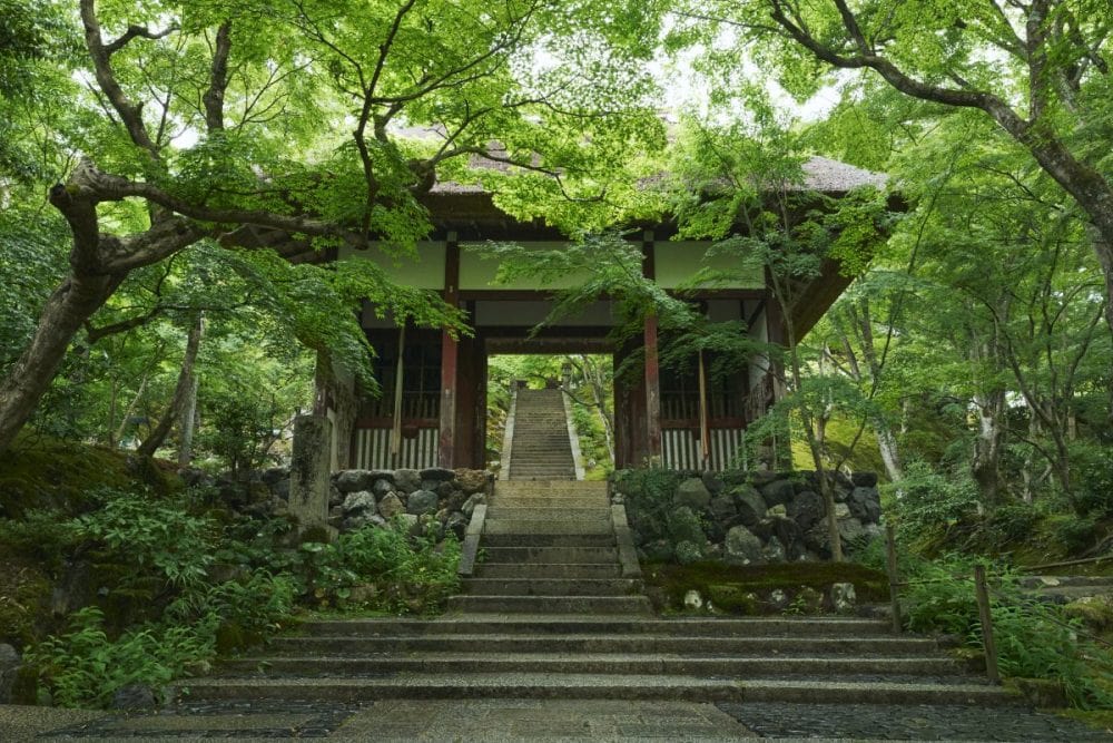 「そうだ 京都、行こう。」キャンペーン、常寂光寺