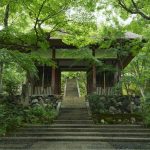 「そうだ 京都、行こう。」キャンペーン、常寂光寺