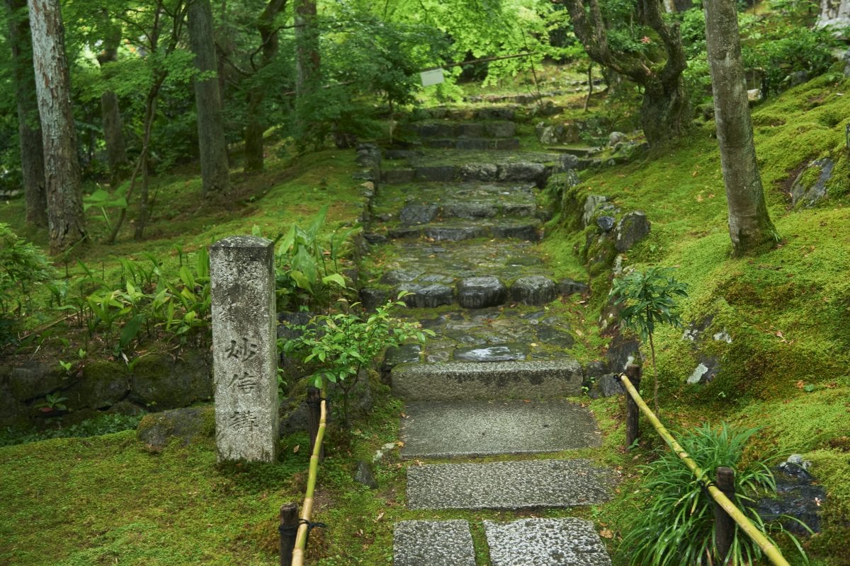 「そうだ 京都、行こう。」キャンペーン、常寂光寺