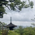「そうだ 京都、行こう。」キャンペーン、常寂光寺