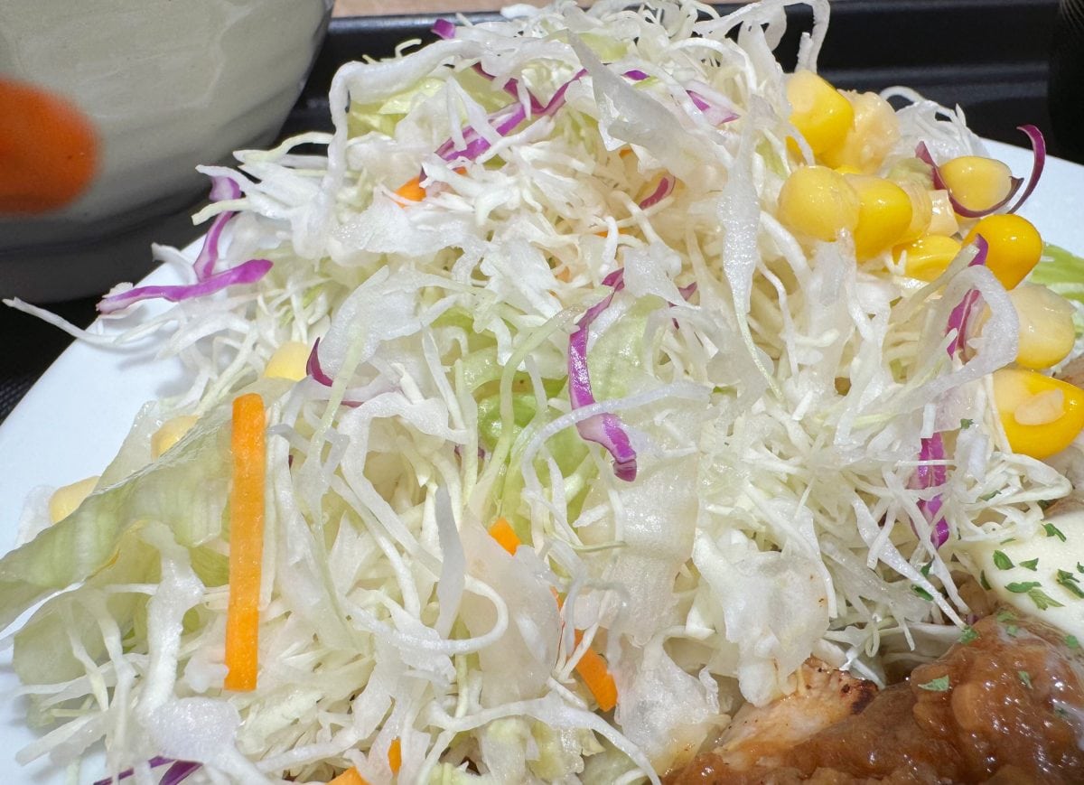 野菜もたっぷり添えてあり、最後まで飽きることなくペロリと完食できました！
