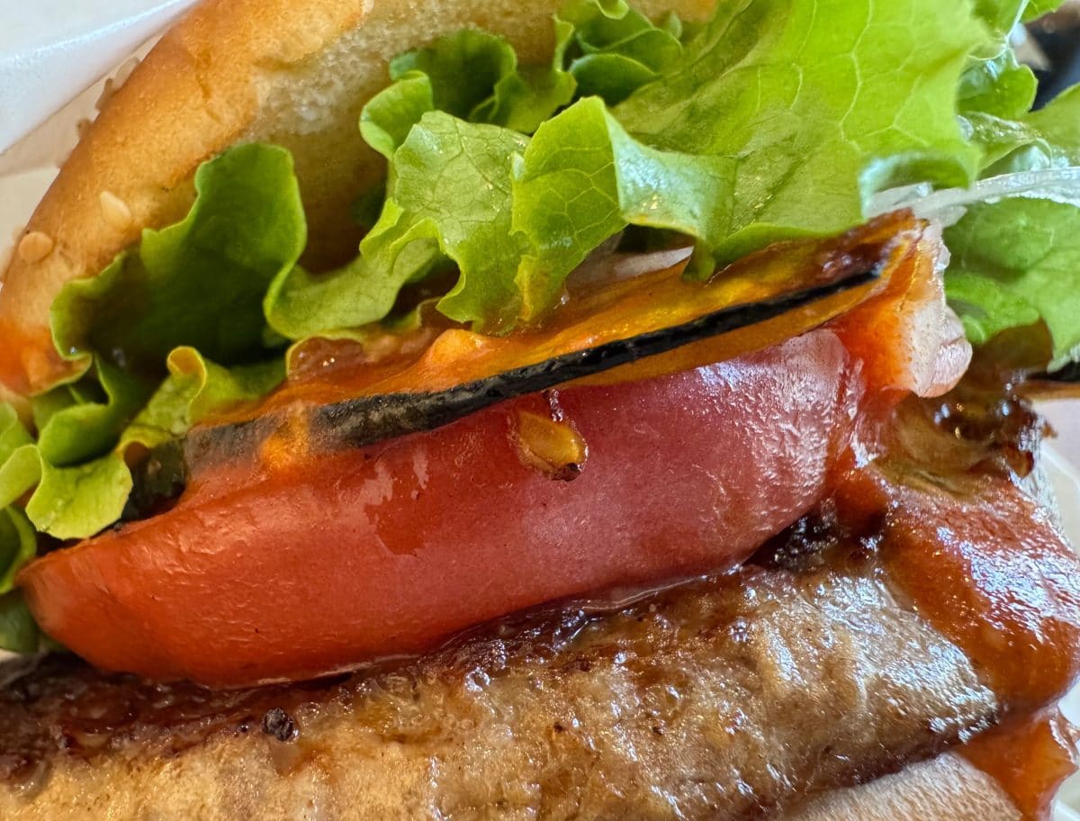 じゅわっとあふれるパティの肉汁とフレッシュな野菜が調和して、ひとくちごとの充実感はあるのに後味はさっぱりとした最高のバランスに