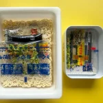 第1位　「ペヤングの文具付録が大バズリ中！」そっくりすぎる…本物のカップ焼きそば“ペヤング ソースやきそば”と比較検証してみた！【試用レポートもあり】