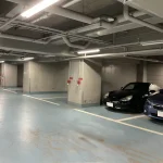 第2位　「なぜ駐車場がガラ空きなのに隣に…」わざわざ隣に停める“トナラー”の存在、その理由とは？自動車ジャーナリストが解説